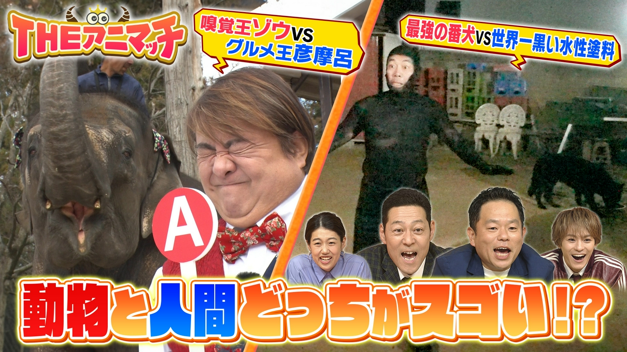 スゴい能力を持つ動物と人間が本気で対決