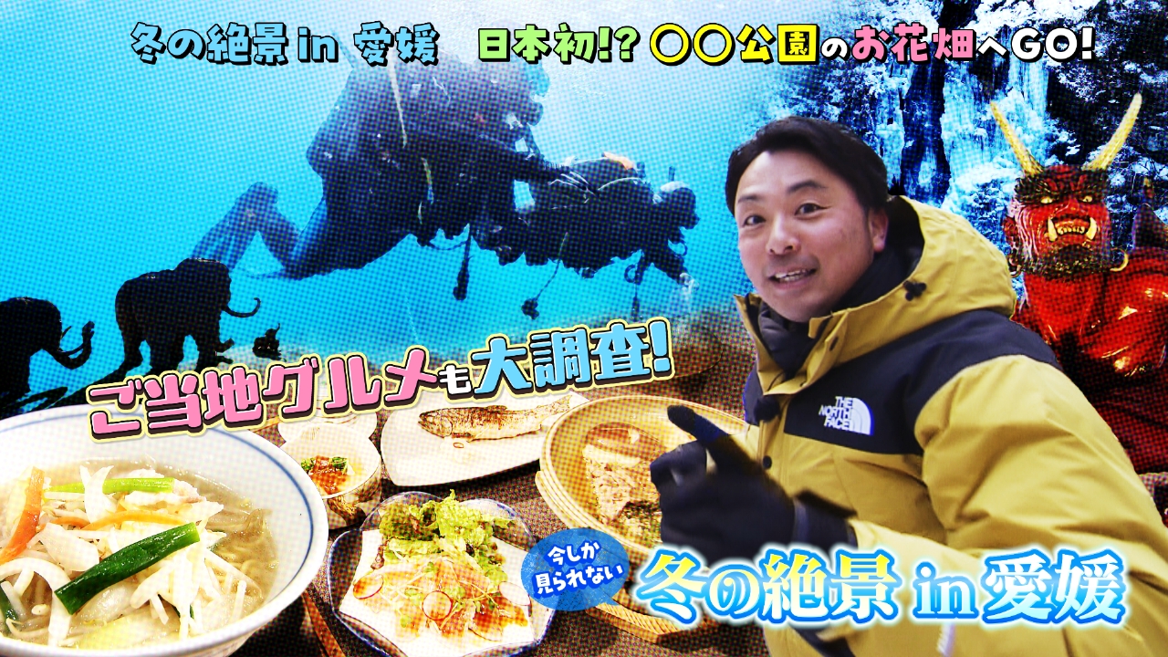 今しか見られない冬の絶景in愛媛