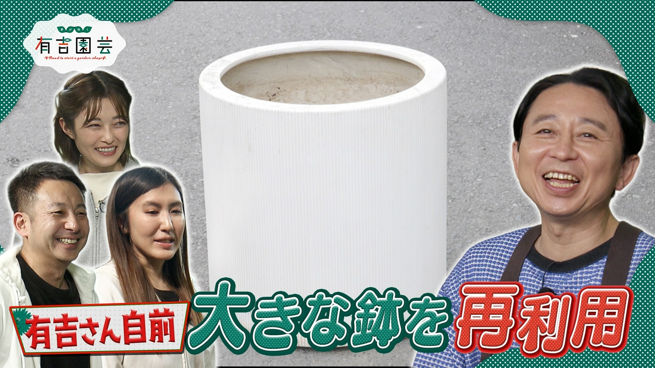 有吉さん私物のデカい鉢を再利用しよう