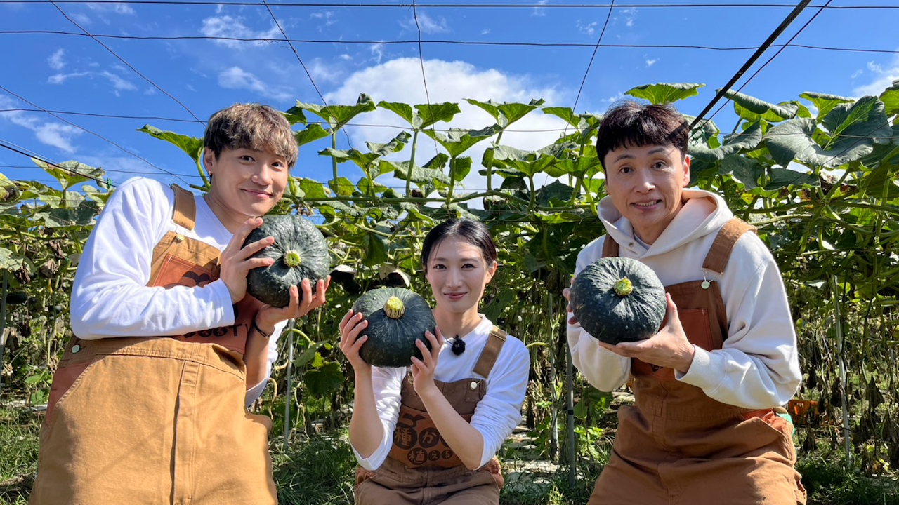 第188回 アンジャッシュ児嶋 天空かぼちゃ