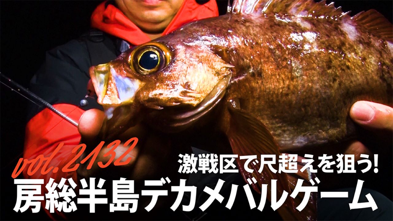 激戦区で尺超えを狙う！房総半島デカメバルゲーム