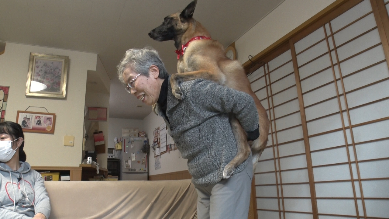 大型犬をおんぶする最強なおばあちゃん登場！超ハード？わん参拝に密着