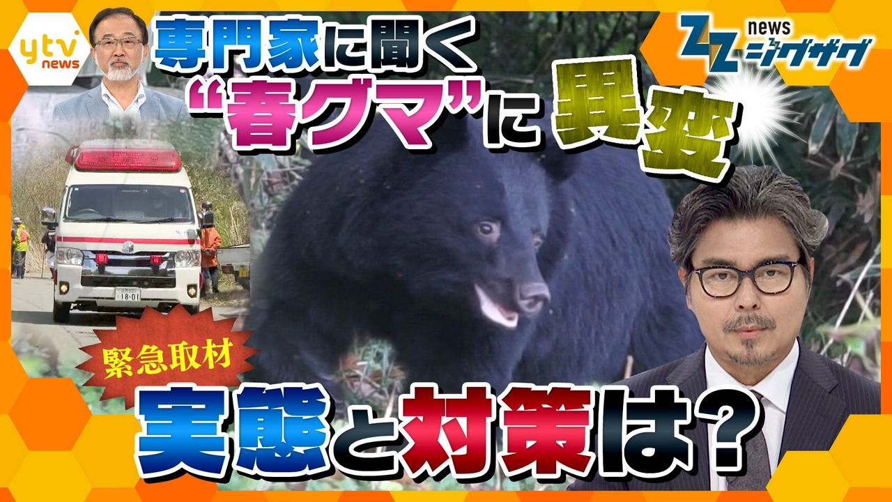 【緊急取材】冬眠明け“春グマ”に異変　市街地に出没多発　実態と対策は？