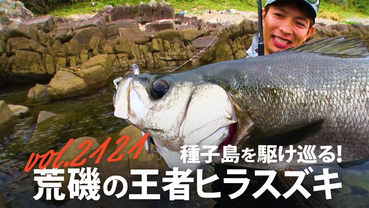 種子島を駆け巡る！ 荒磯の王者ヒラスズキ