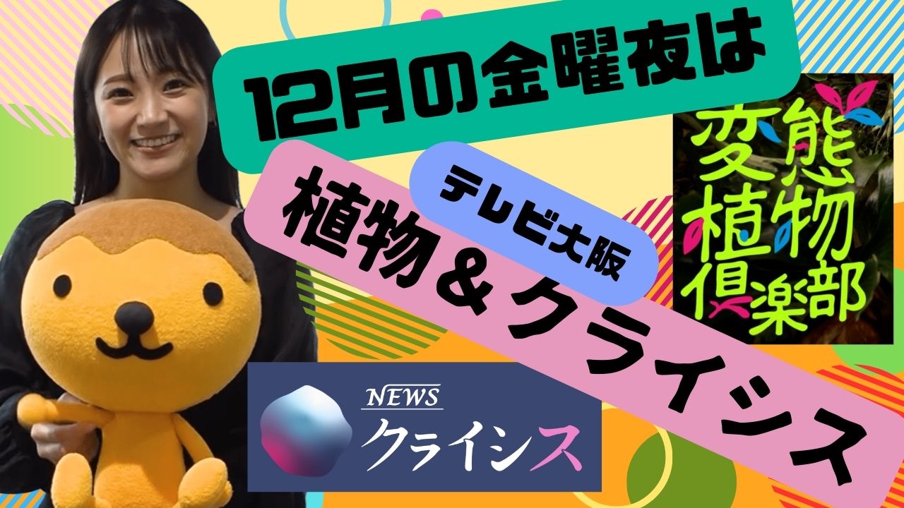 12月の金曜夜は植物＆クライシス⁉
