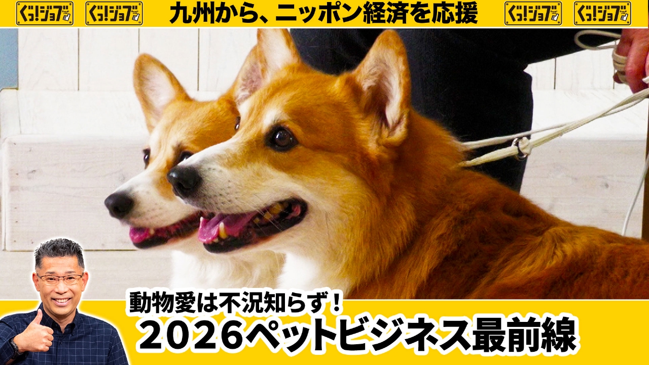 動物愛は不況知らず！2026ペットビジネス最前線