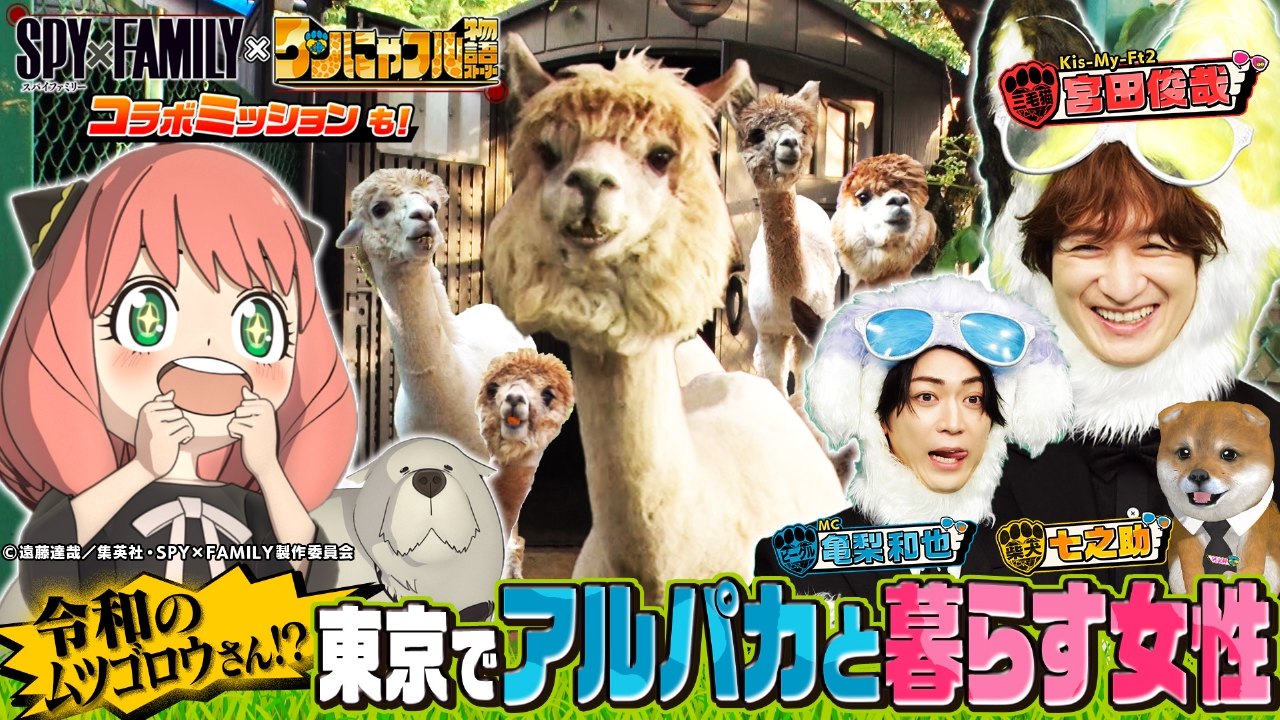 MC：亀梨和也！東京でアルパカ！？令和のムツゴロウ＆もののけ姫