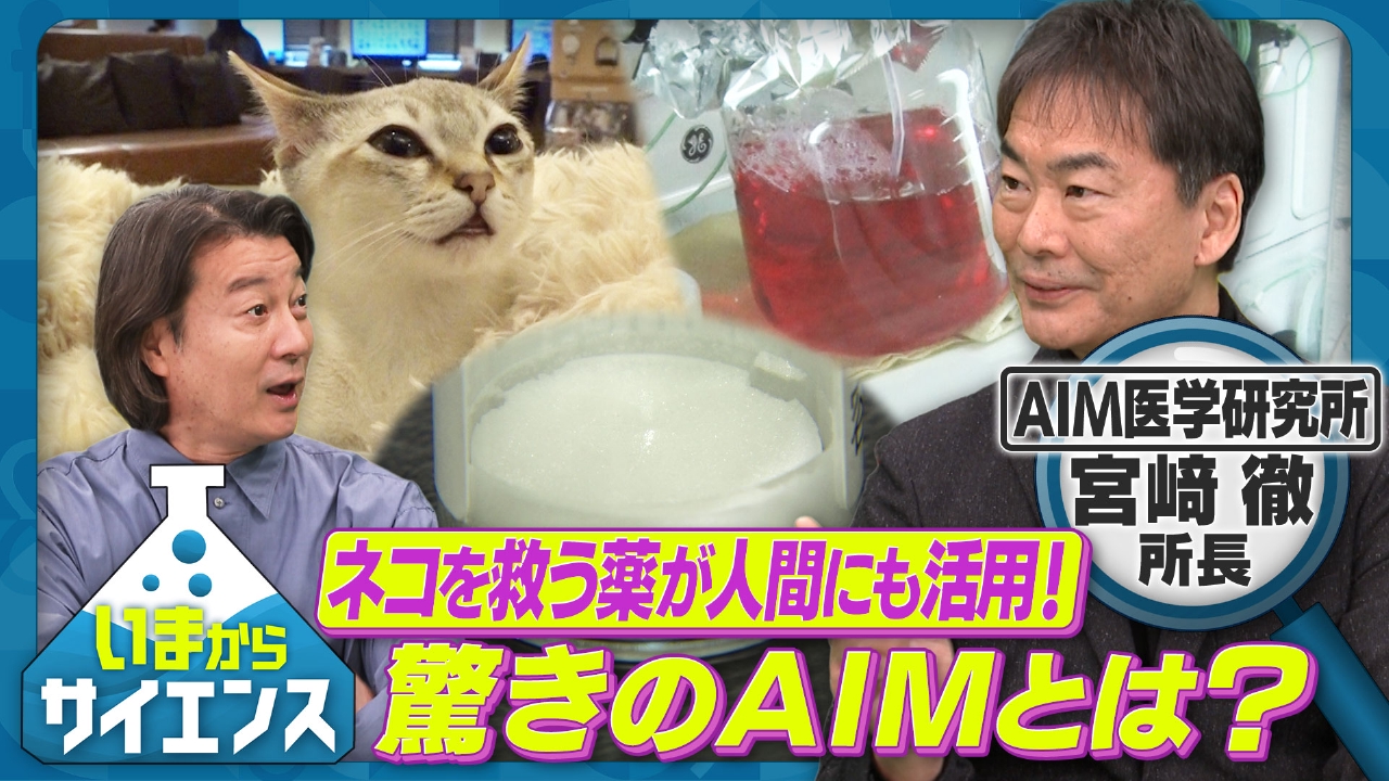 ネコを救う薬が人間にも活用！驚きのAIMとは？