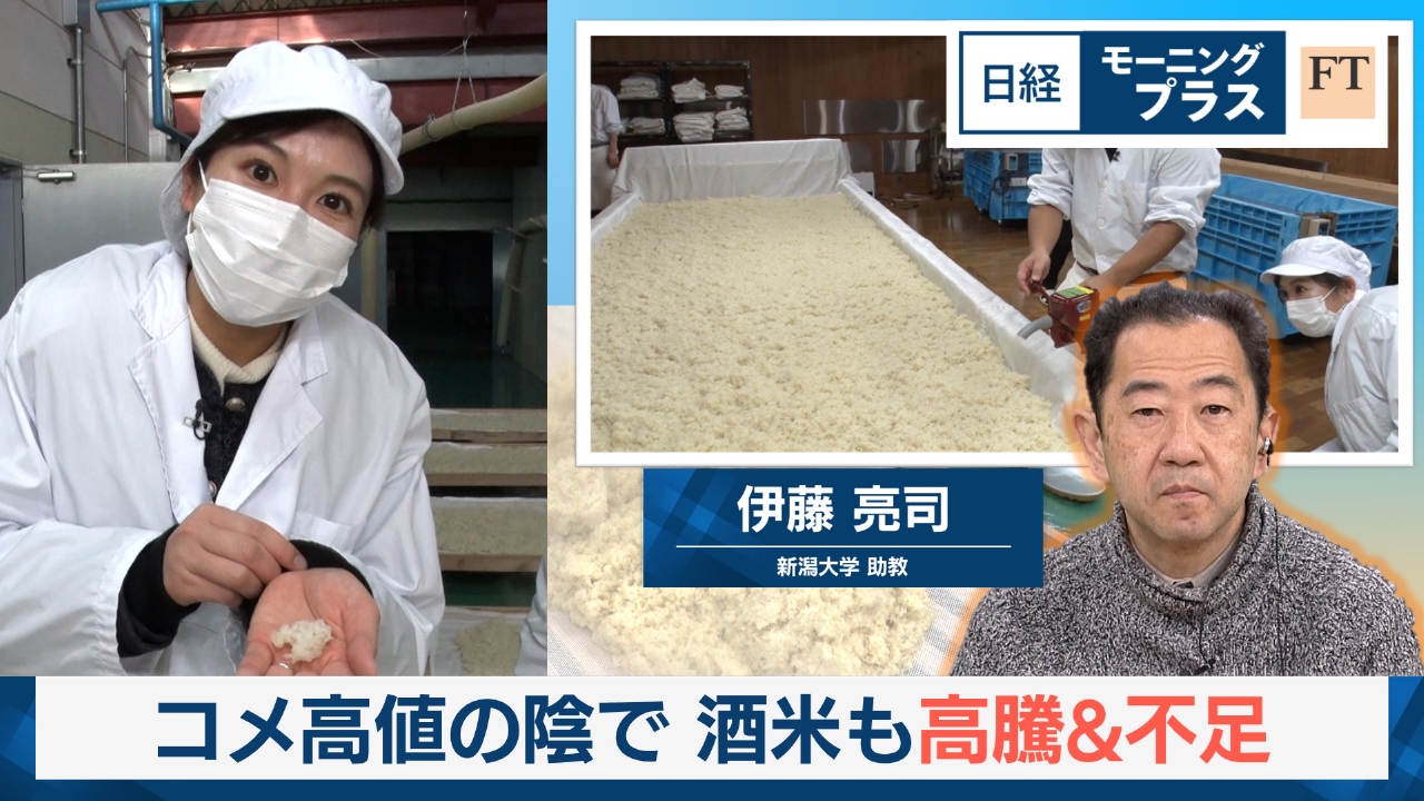 コメ高値の陰で　酒米も高騰＆不足