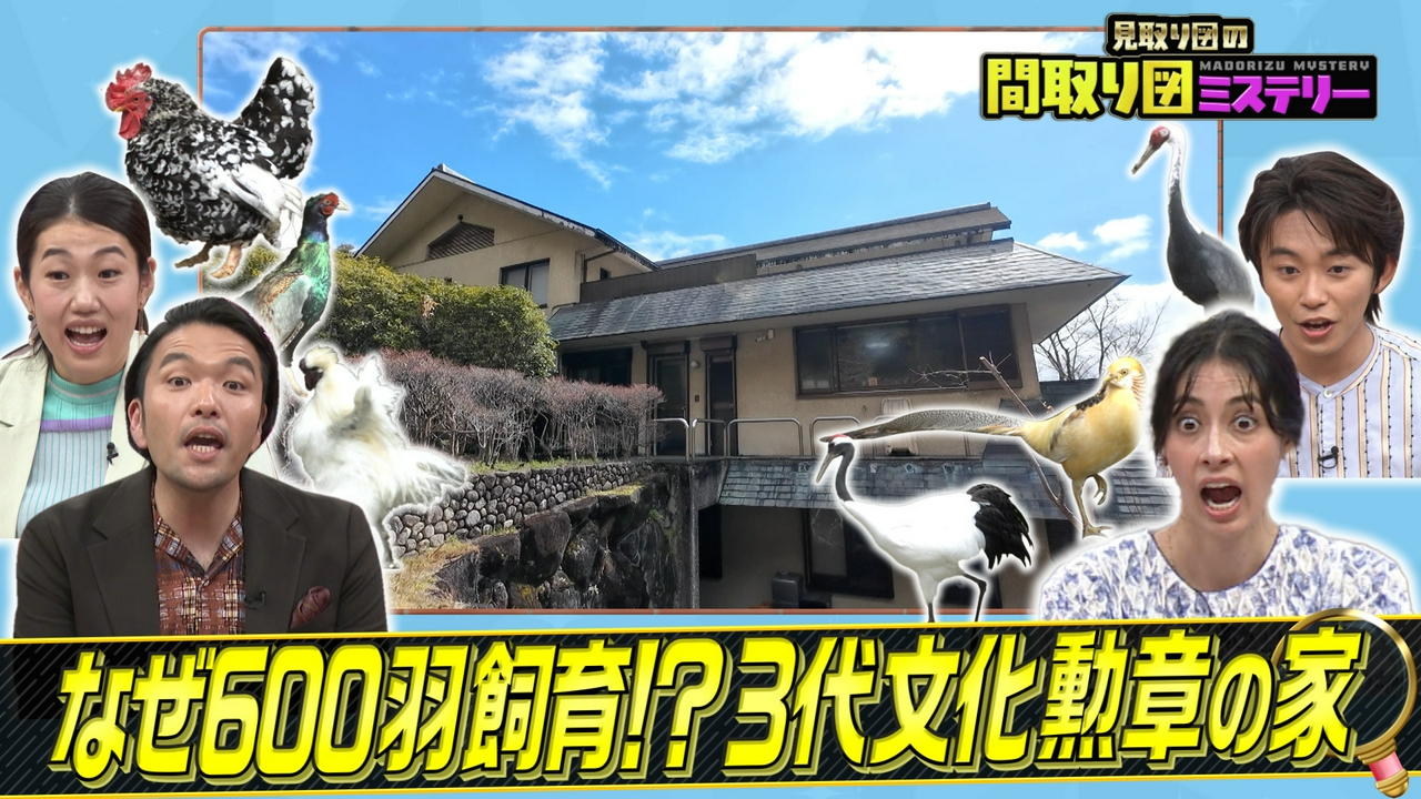 謎の名家&島スペシャル