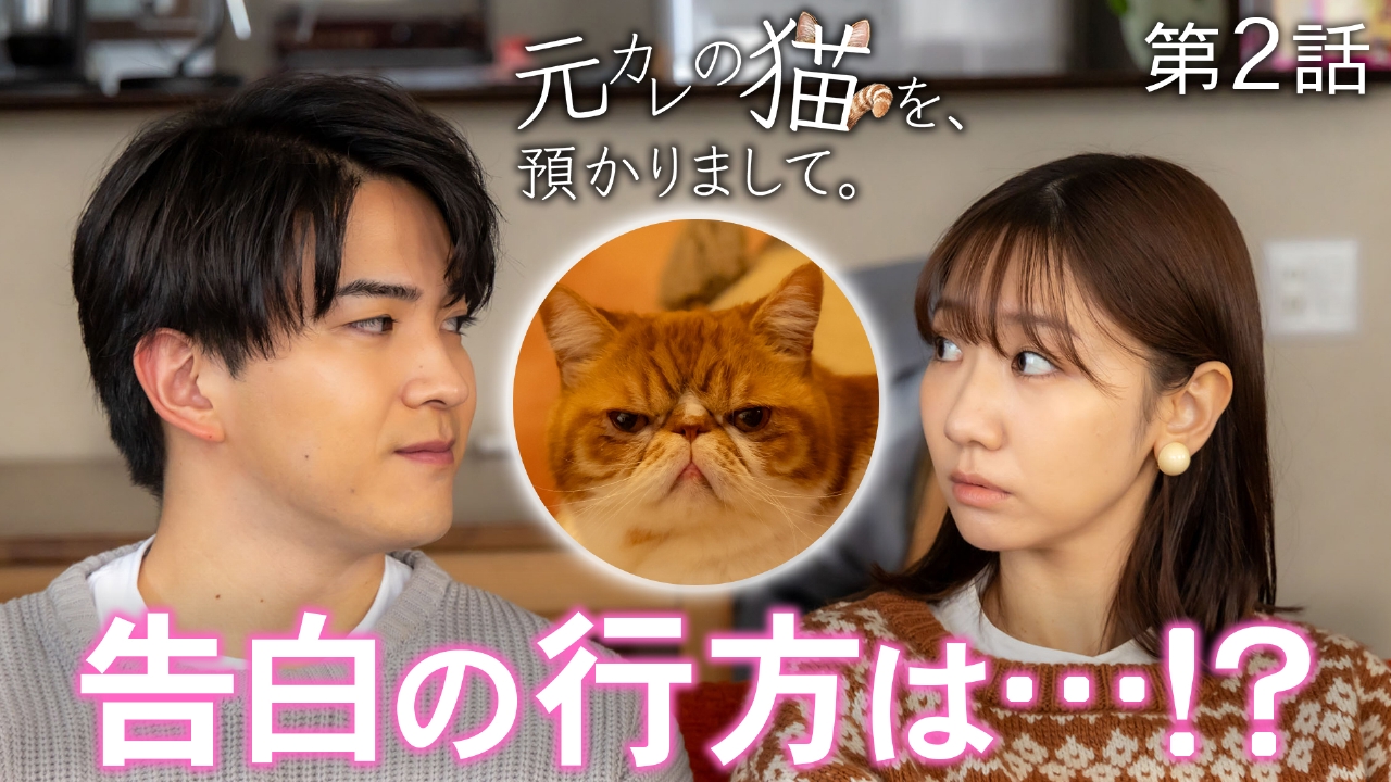 第2話 人間はめんどうくさい！？