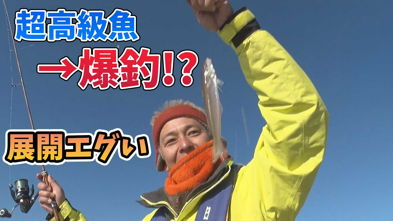 海の⼥王とも呼ばれる美しいターゲット シロギス釣りならまかせろ！