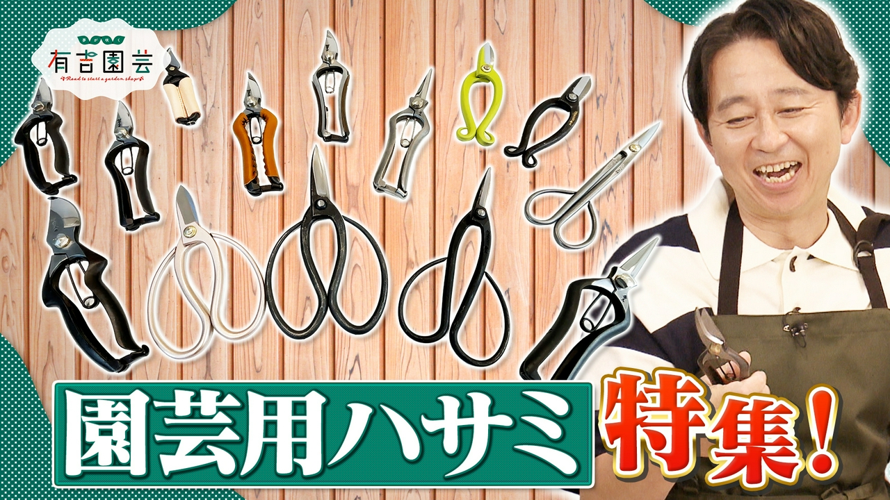 奥深き園芸用ハサミを大特集