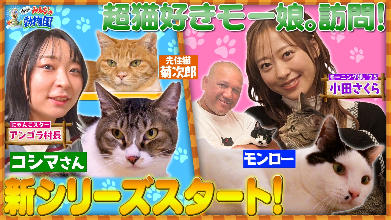 保護猫58匹育てたアイドル訪問でラミレス家ビビリ猫に奇跡