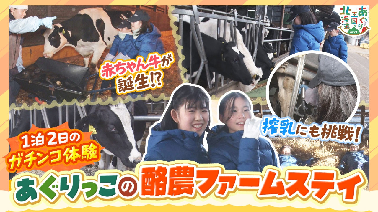 あぐりっこ2人が芽室町で1泊2日の酪農体験！