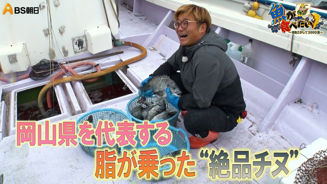 瀬戸内海で獲れる絶品のチヌとベイカ!?