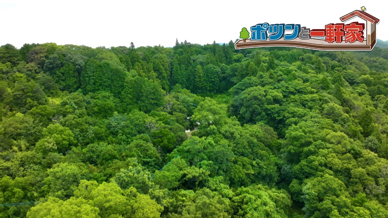 長崎県の海にほど近い山の中に忽然と姿を現した立派なログハウス。そこで出会ったのは、亡き妻への想いを胸に秘めた男性が築き上げた夫婦の物語…。