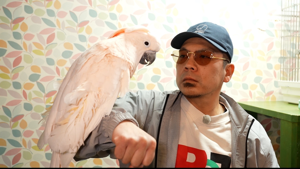 天竺川原の第六十七回の