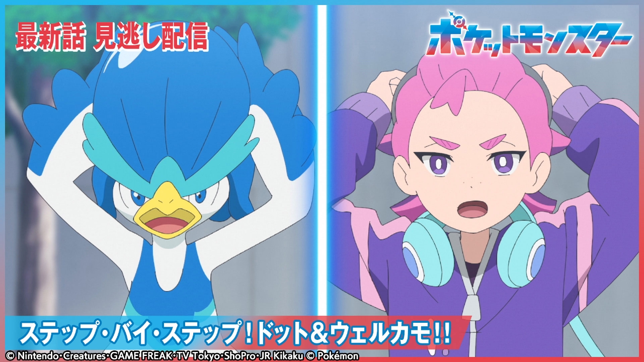 ステップ・バイ・ステップ！ドット＆ウェルカモ！！