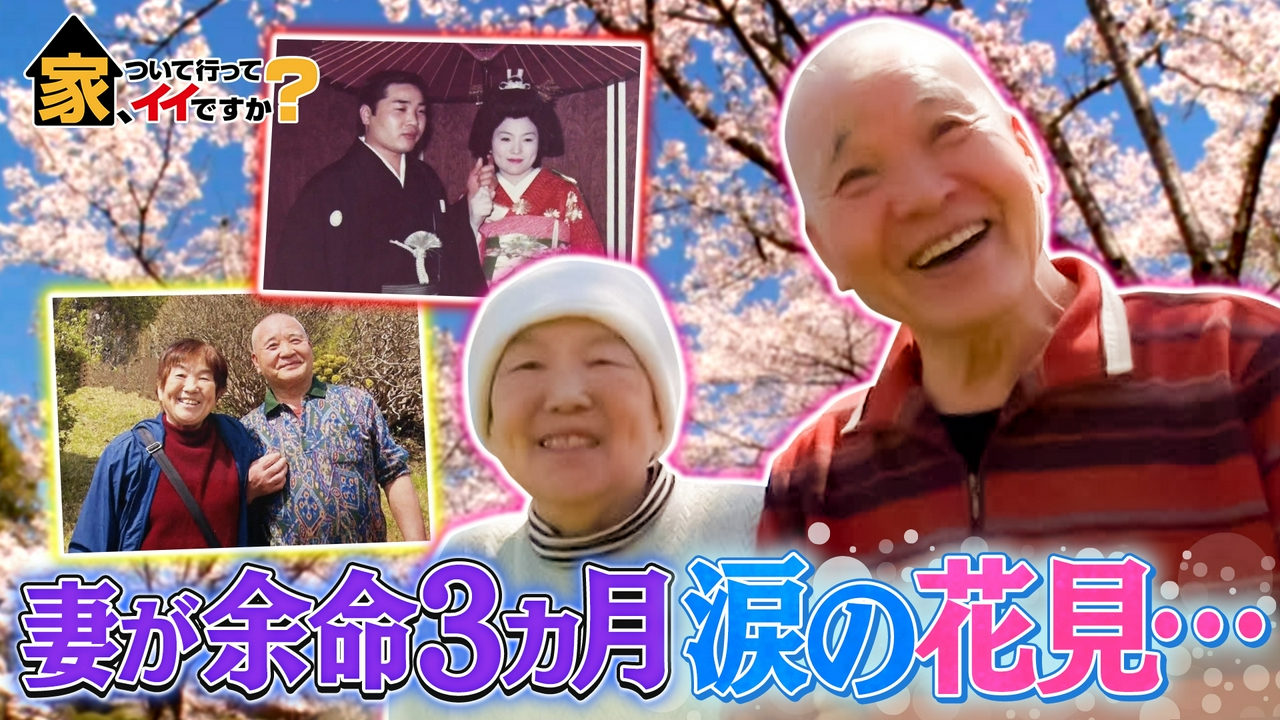 桜の木の下で「来世も一緒に…」闘病妻と夫の涙の物語