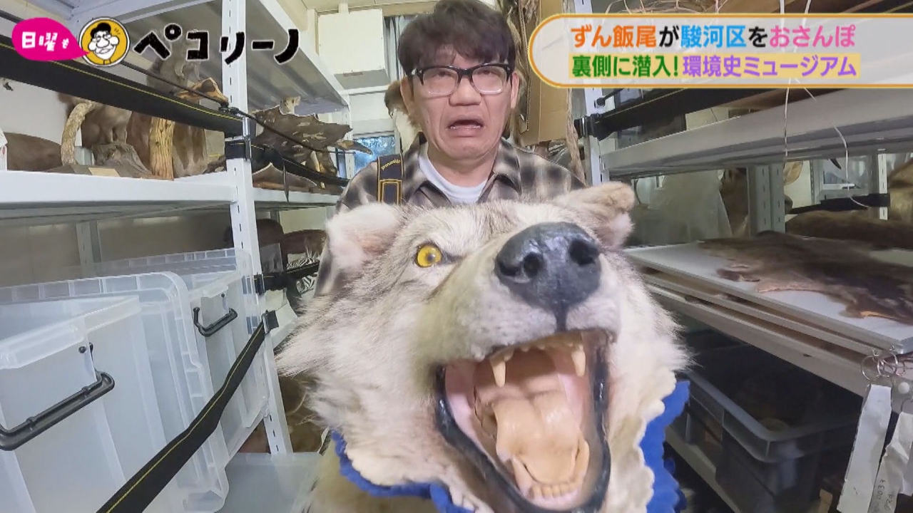 ★ずん飯尾がペコ缶をおともに静岡市駿河区をおさんぽ～