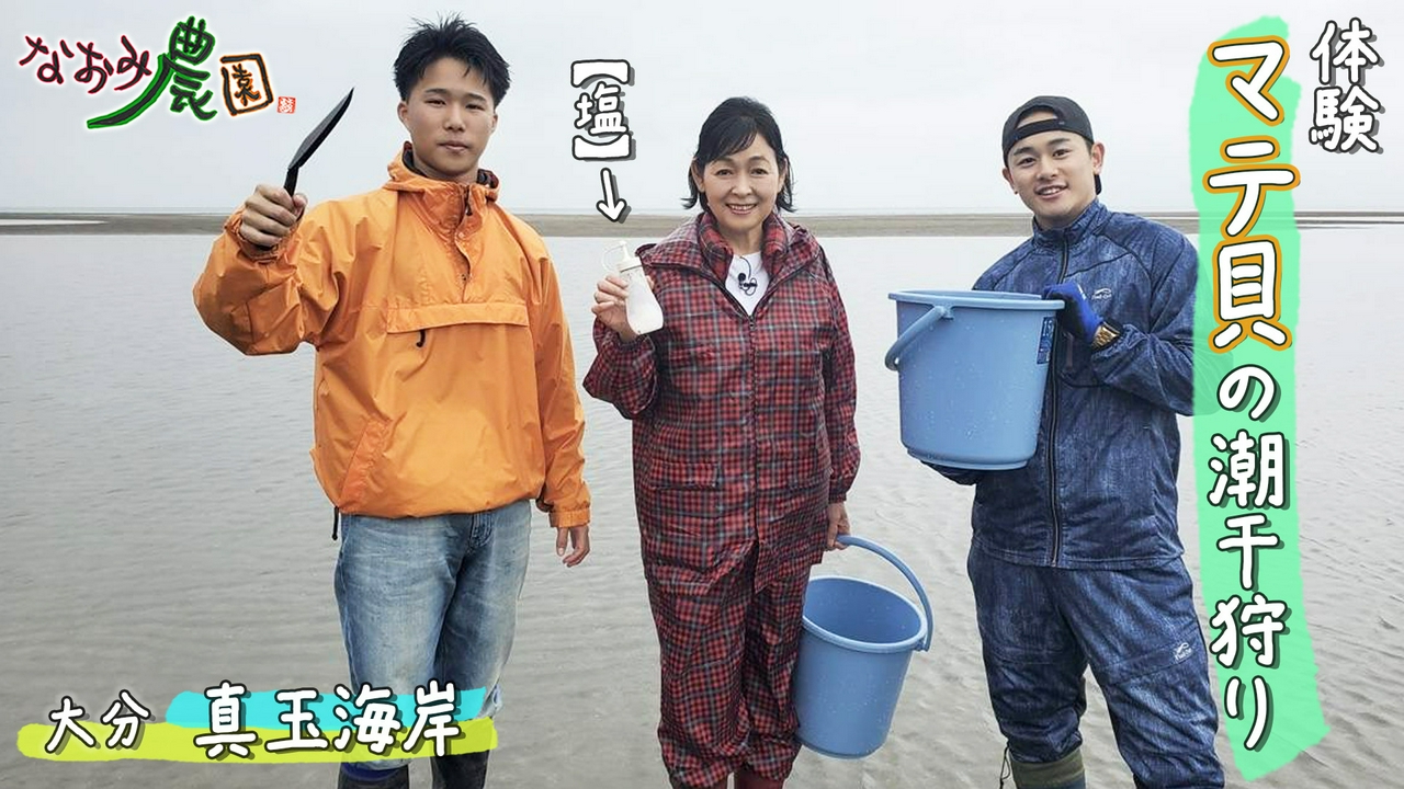 真玉海岸でマテ貝の潮干狩り体験