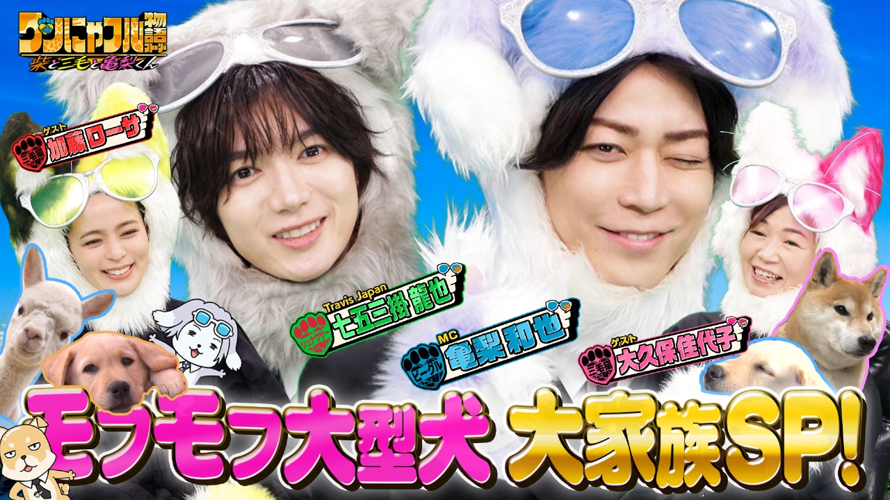 MC：亀梨和也！モフモフ！大型プードル大家族＆自宅アルパカ10頭夫婦