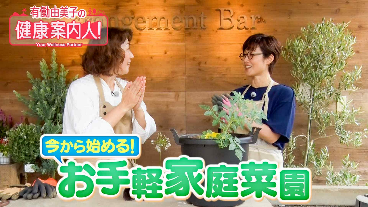 今から始める！お手軽家庭菜園