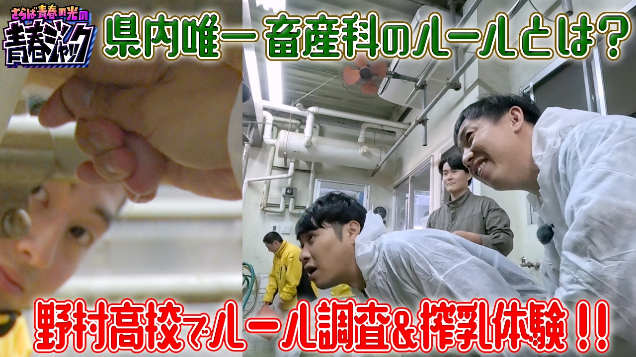 東ブクロの乳しぼり体験！県内唯一の畜産科のルールとは？