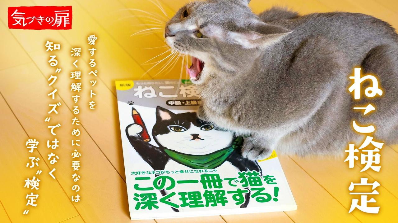 ねこ検定