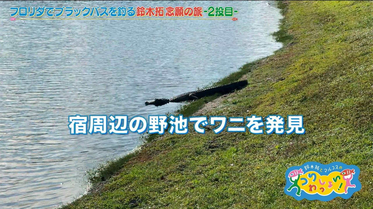 #159 フロリダでブラックバスを釣る！鈴木拓念願の旅ー第２弾ー