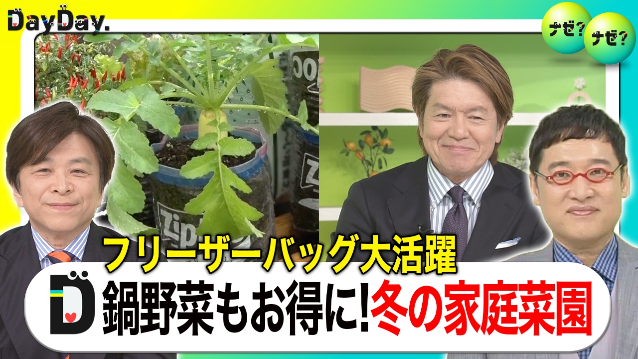 家庭菜園を始めるなら今！お手軽で節約にも【ナゼ？ナゼ？】