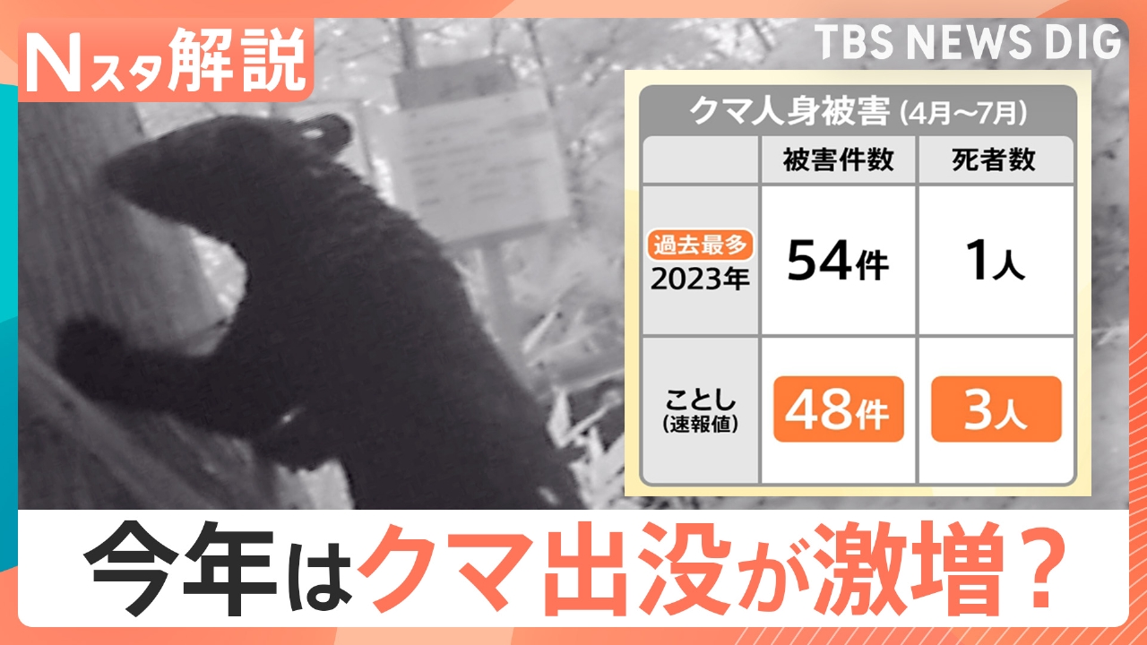 今年はクマ出没が激増？【Nスタ】