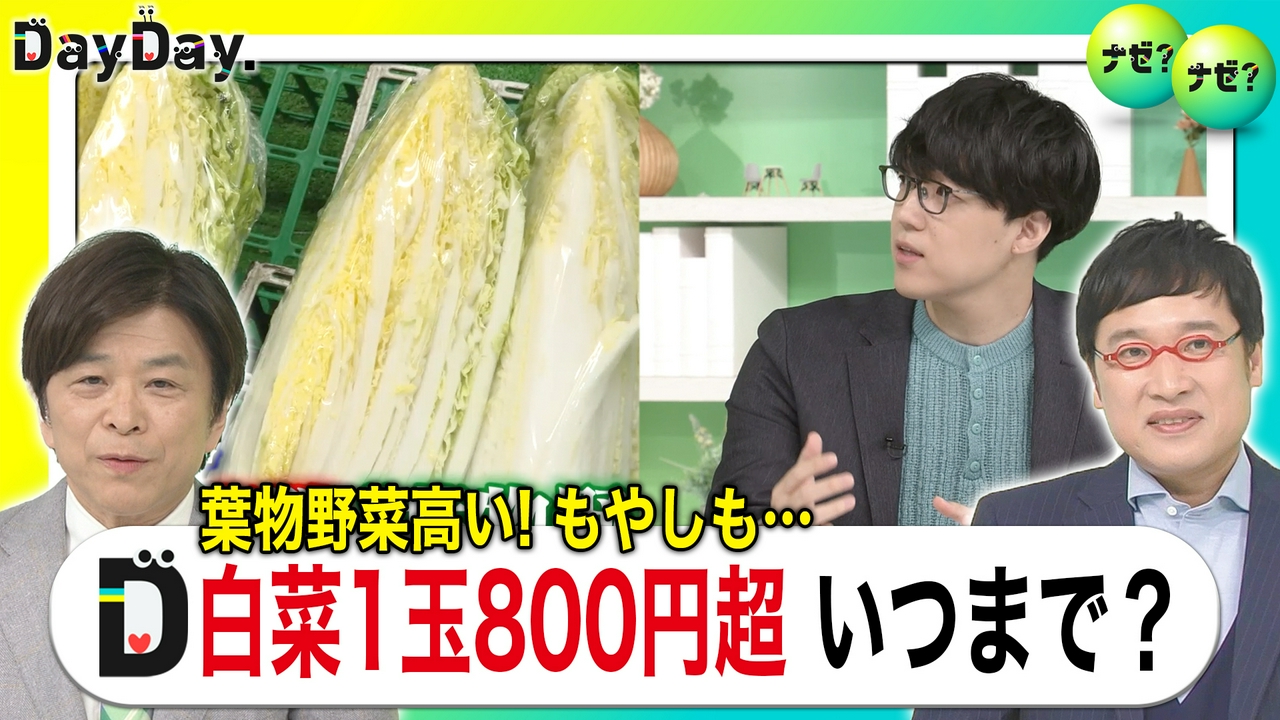 葉物野菜が価格高騰今お買い得な野菜とは？【ナゼ？ナゼ？】