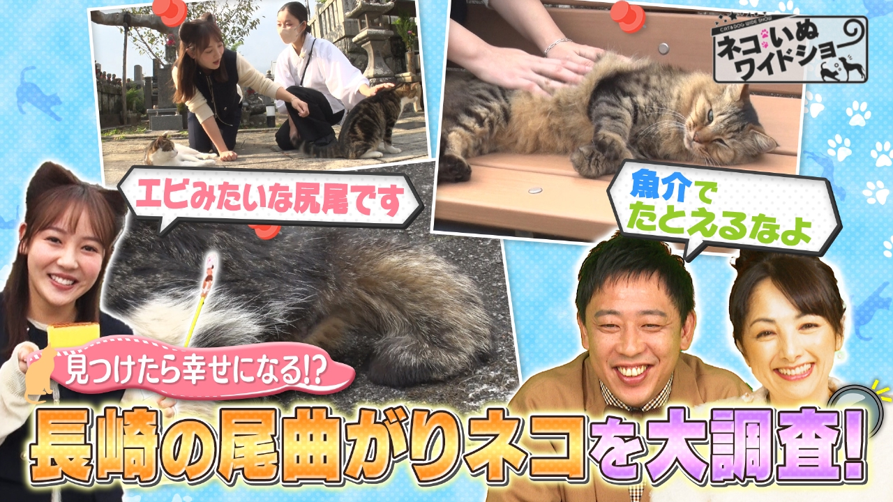 ネコの街・長崎の“尾曲りネコ”を大調査！/保護ネコ活動を行うラーメン店