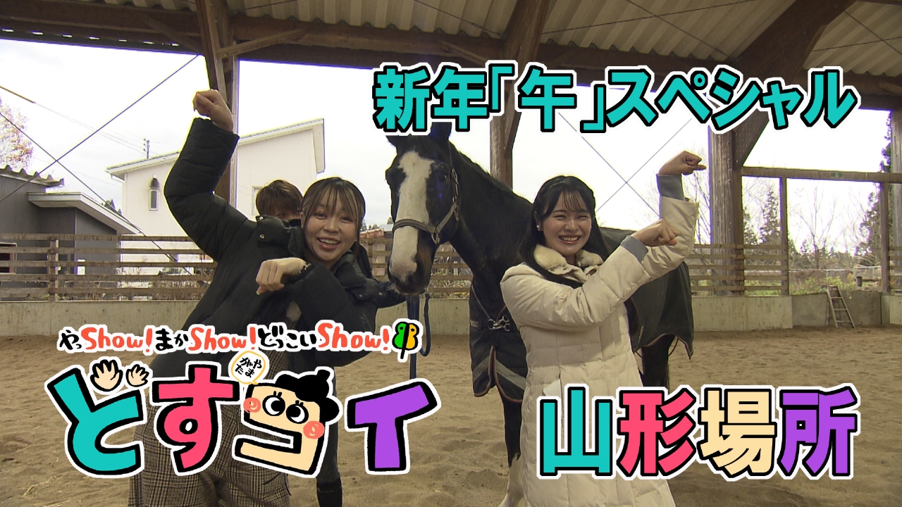 山形場所～新年「午」スペシャル～