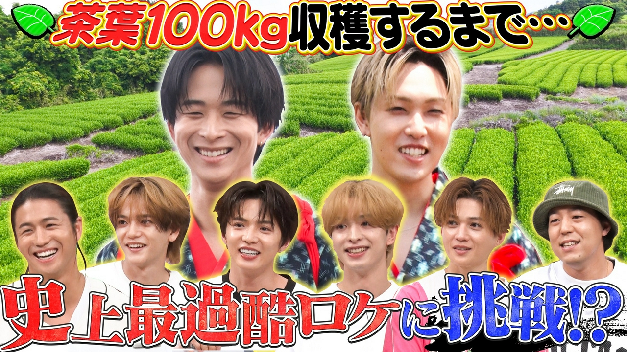静岡のライブ会場で無料配布!?茶畑で茶摘みをしてオリジナルグッズを開発！