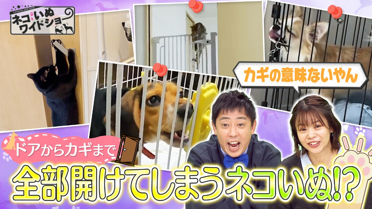 ＃154 ゲスト：髙木菜那