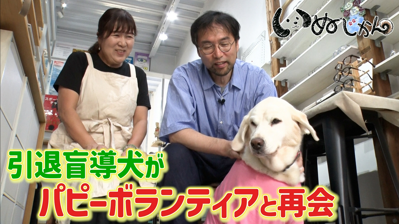 引退した盲導犬のセカンドライフ！愛犬の病気に立ち向かう家族の物語