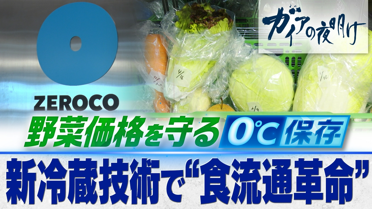 新冷蔵技術で“食流通革命”…野菜価格を守る0℃保存