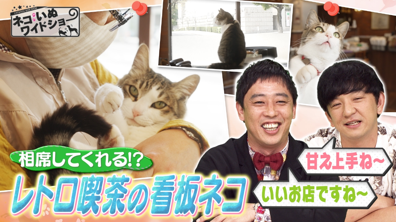 ＃141 ゲスト：向井慧