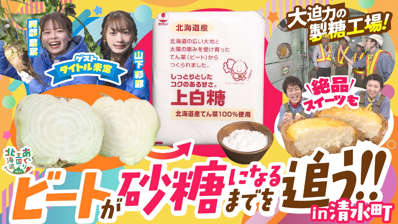 大迫力！タイトル未定と砂糖の原料ビート栽培を学ぶ