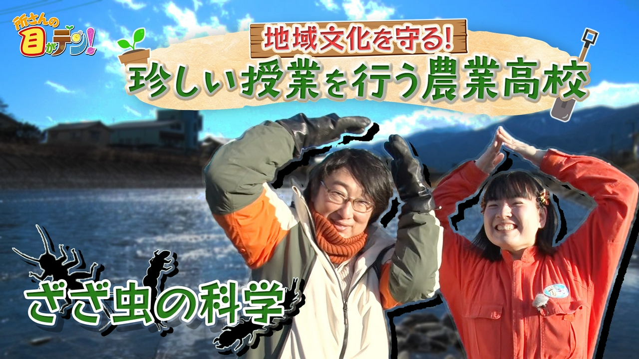 長野県伊那谷地域の伝統文化ざざ虫漁を守る上伊那農業高校に密着