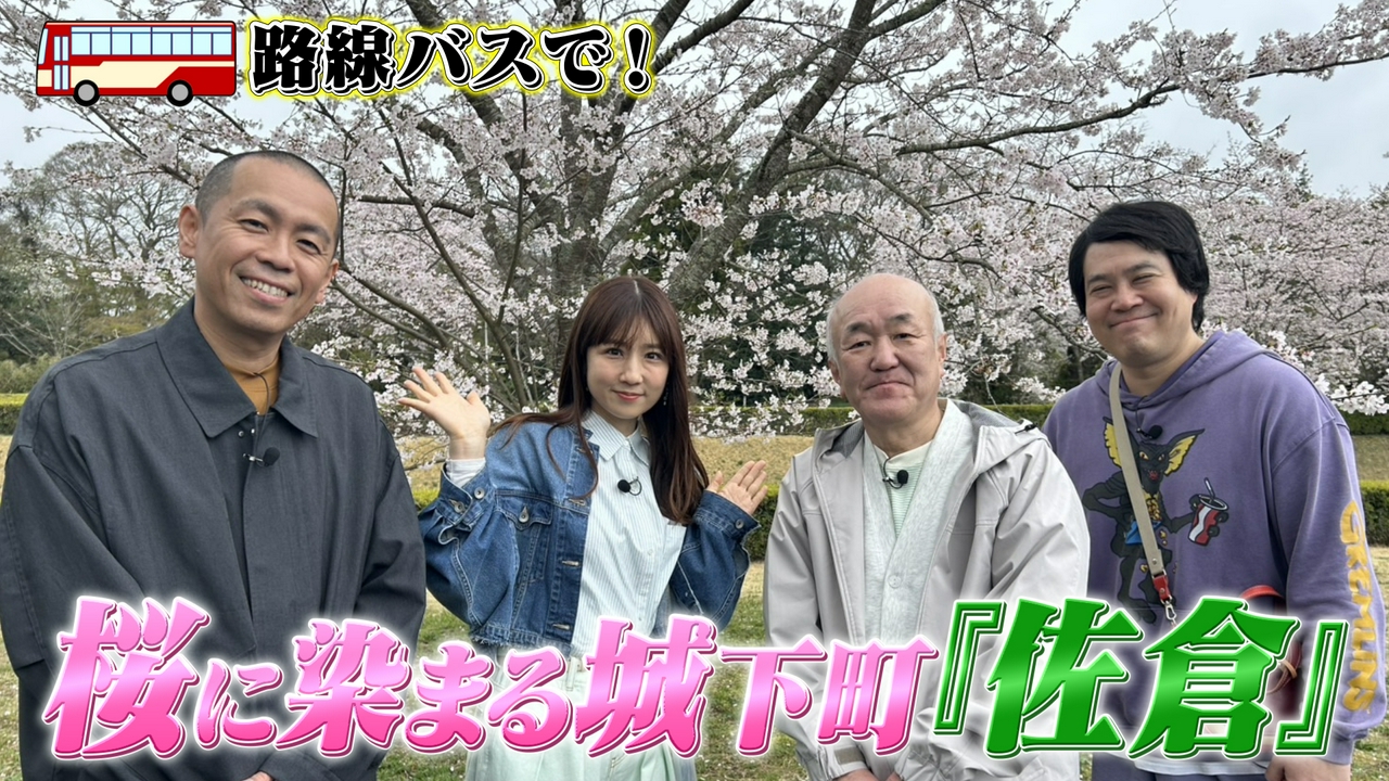 桜に染まる城下町『佐倉』