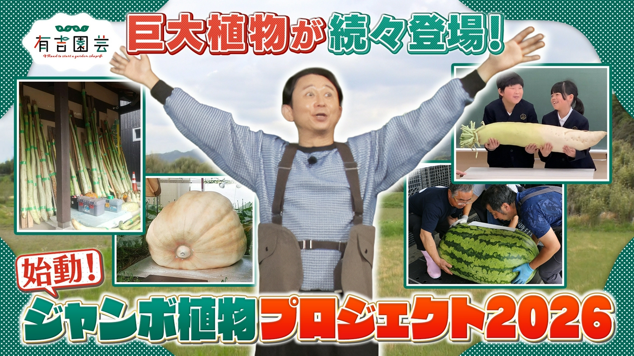 ジャンボシリーズ2026始動