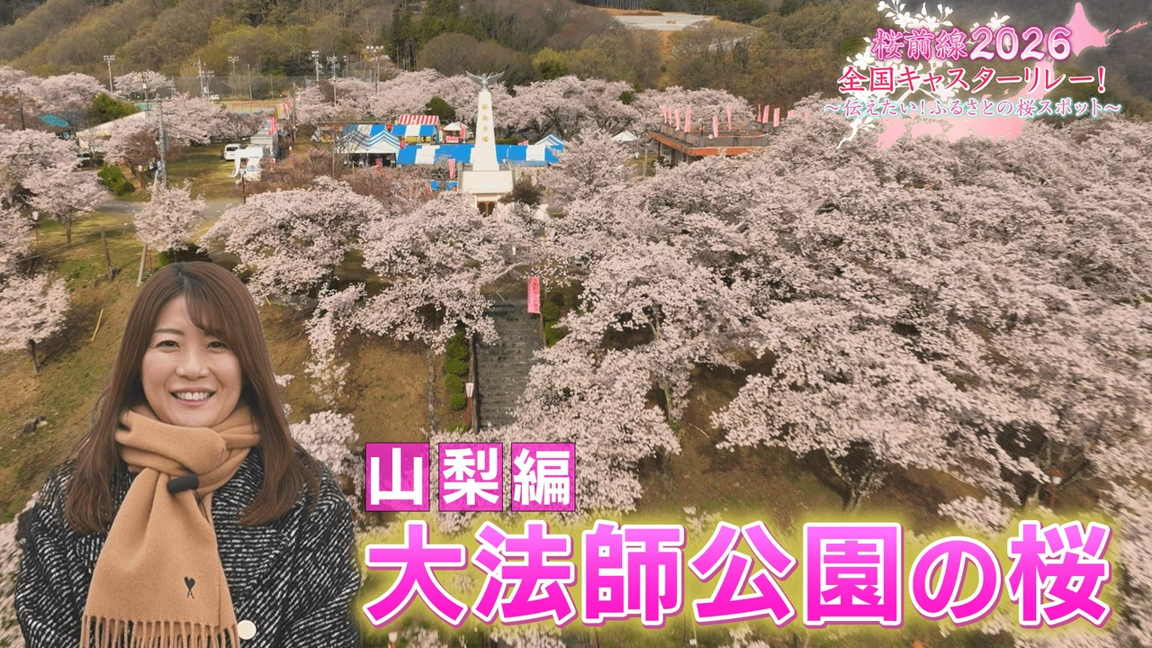 山梨編「大法師公園の桜」