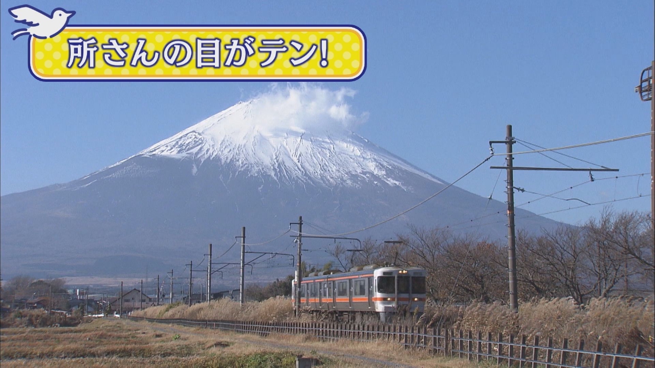 科学情報番組｢所さんの目がテン！」について