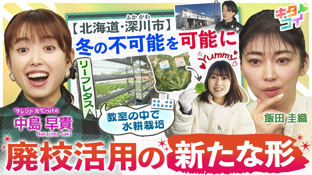 飯田圭織＆中島早貴、教室の中でレタス栽培！