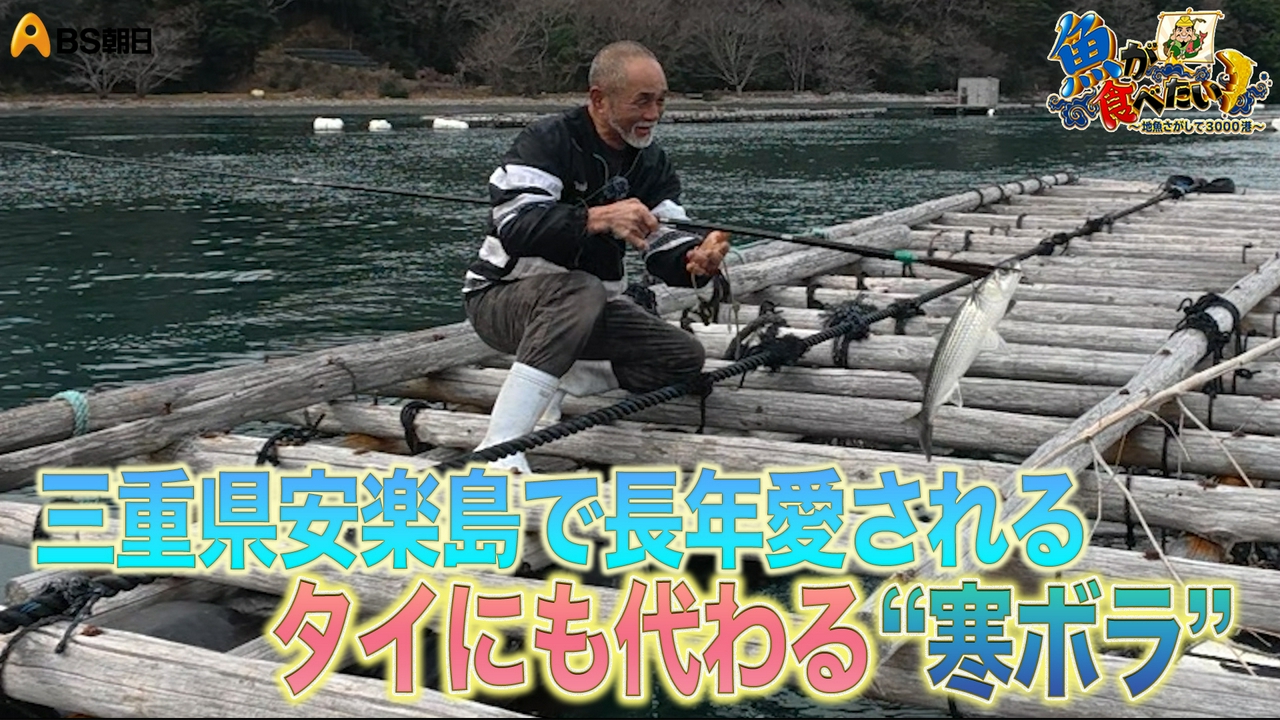 お魚博士とゴールデントライアングルで絶品魚調査！