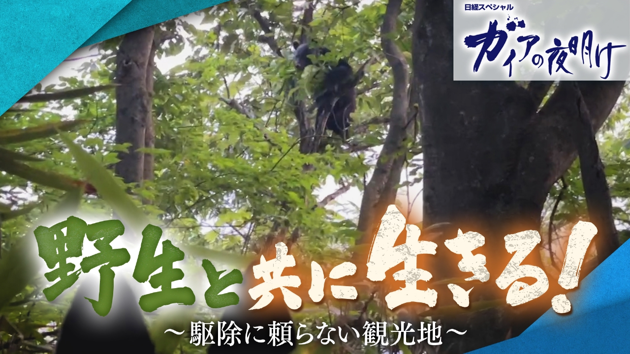 野生と共に生きる！～駆除に頼らない観光地～